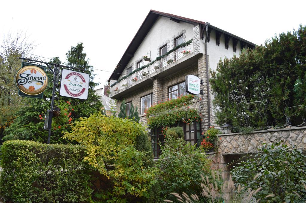 Muskatli Panzio Bed and Breakfast Győr Exteriör bild
