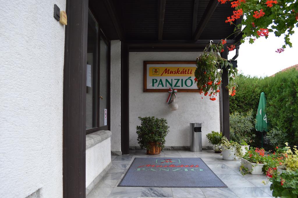 Muskatli Panzio Bed and Breakfast Győr Exteriör bild
