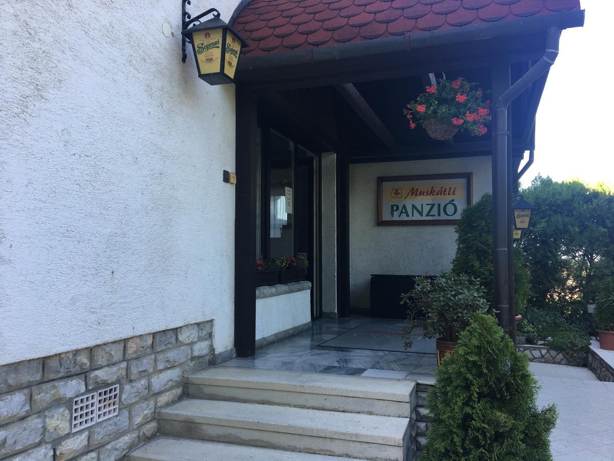 Muskatli Panzio Bed and Breakfast Győr Exteriör bild